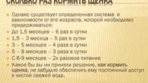 Колку пати дневно се хранат кученце, возрасно куче